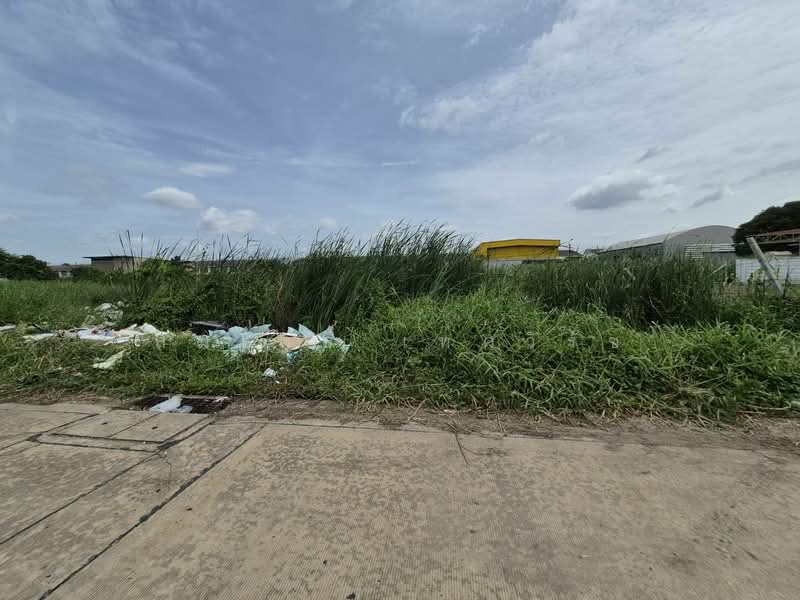 ที่ดินปทุมธานี, ปทุมธานี, ลาดสวาย, ลำลูกกา, ปทุมธานี, 400 ตร.ม., ที่ดิน ขาย, โดย สมโพธิ เทศวิรัช, 500504150 - DDproperty.com