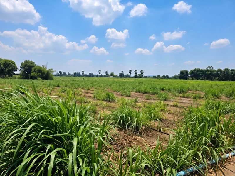 ที่ดิน ห้วยกระเจา, Kanchanaburi, Sra Lung Rua, Huai Krachao, Kanchanaburi, , 2,156 sqm, Land For Sale, by Estatehengheng, 500504294 - DDproperty.com