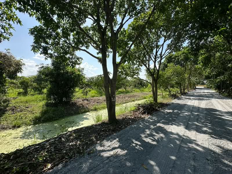 ที่ดิน, Nonthaburi, Ban Mai, Bang Yai, Nonthaburi, , 20,800 sqm, Land For Rent, by วิดารัตน์ กาติ้ง, 500504345 - DDproperty.com
