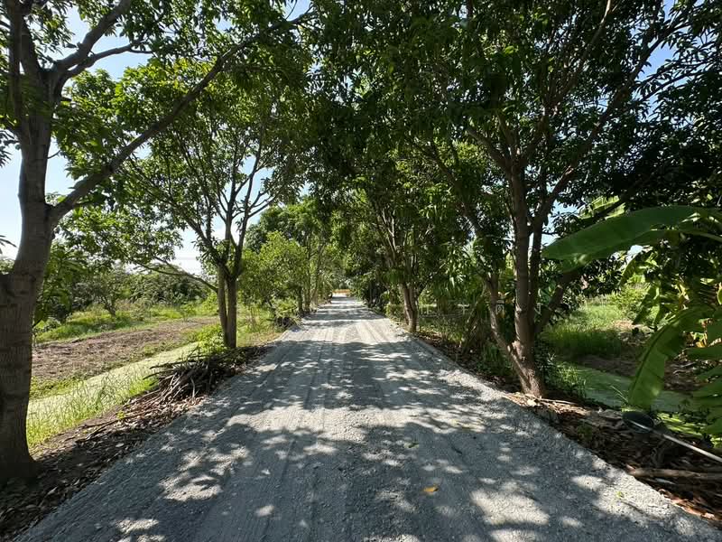 ที่ดิน, นนทบุรี, บ้านใหม่, บางใหญ่, นนทบุรี, 20,800 ตร.ม., ที่ดิน ให้เช่า, โดย วิดารัตน์ กาติ้ง, 500504345 - DDproperty.com