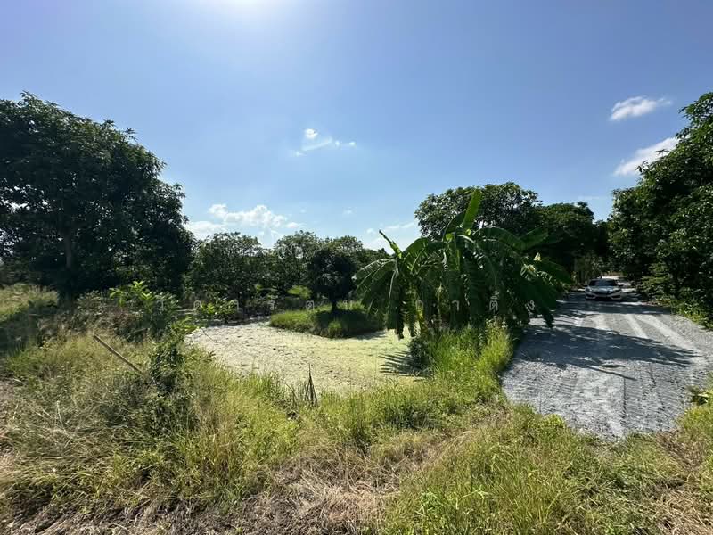 ที่ดิน, Nonthaburi, Ban Mai, Bang Yai, Nonthaburi, , 20,800 sqm, Land For Rent, by วิดารัตน์ กาติ้ง, 500504345 - DDproperty.com