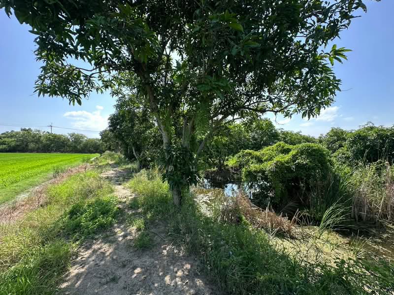 ที่ดิน, Nonthaburi, Ban Mai, Bang Yai, Nonthaburi, , 20,800 sqm, Land For Rent, by วิดารัตน์ กาติ้ง, 500504345 - DDproperty.com
