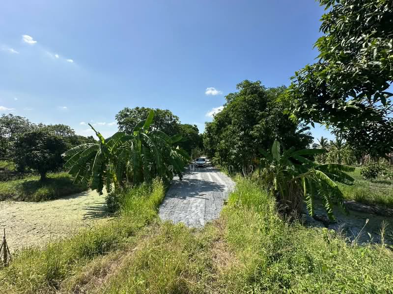 ที่ดิน, Nonthaburi, Ban Mai, Bang Yai, Nonthaburi, , 20,800 sqm, Land For Rent, by วิดารัตน์ กาติ้ง, 500504345 - DDproperty.com