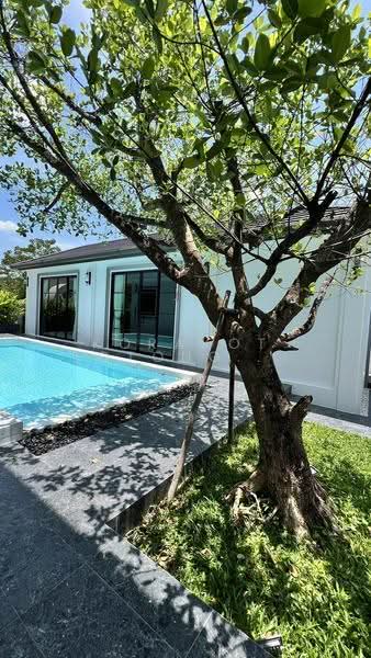 บ้านเดี่ยว หมู่บ้านธารดง ถนนเชียงใหม่-หางดง, Chiang Mai, Ban Waen, Hang Dong, Chiang Mai, 6 Bedrooms, 440 sqm, Single Detached House For Sale, by Korakot Lotongkum, 500504364 - DDproperty.com