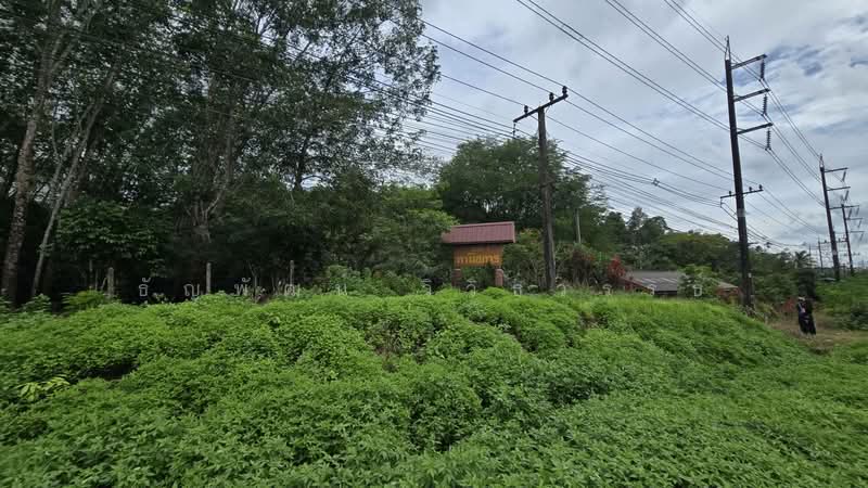 ขายที่ดินพร้อมสวนยางและผลไม้ 71-3-45.9 ไร่ ติดถ.สุขุมวิท ต.แสนตุ้ง อ.เขาสมิง จ.ตราด, ตราด, แสนตุ้ง, เขาสมิง, ตราด, 114,984 ตร.ม., ที่ดิน ขาย, โดย ธัญพัฒน์ วิวิธวรรธ์, 500504416 - DDproperty.com