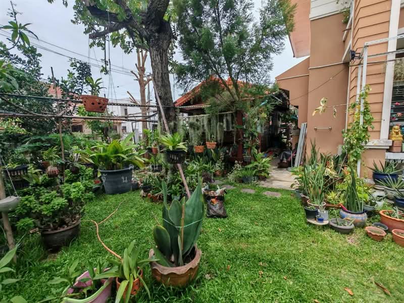 Baan Lalin In The Park Watcharapol-Paholyothin, Bangkok, Rattanagosin Road, Khlong Tanon, Sai Mai, Bangkok, 4 Bedrooms, 400 sqm, Single Detached House For Sale, by คุณ พรชัย เสนจันทร์ฒิไชย (โก้), 500504437 - DDproperty.com