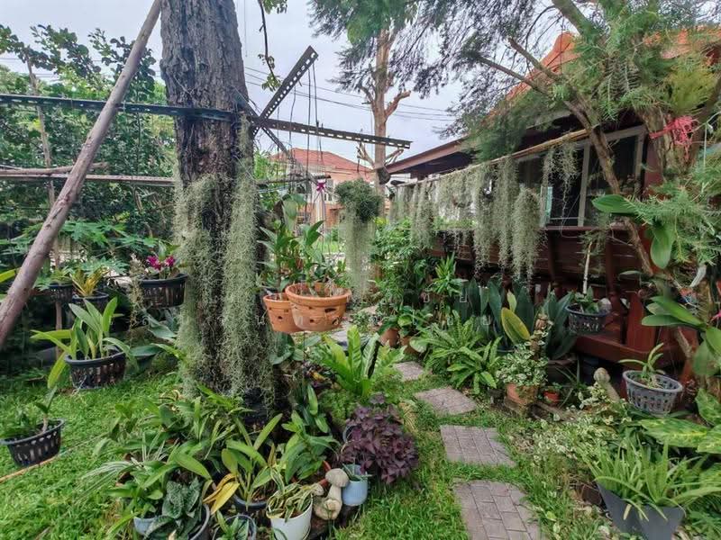 Baan Lalin In The Park Watcharapol-Paholyothin : บ้านลลิล อินเดอะพาร์ค วัชรพล-พหลโยธิน, กรุงเทพ, ถนนรัตนโกสินทร์, คลองถนน, สายไหม, กรุงเทพ, 400 ตร.ม., บ้านเดี่ยว ขาย, โดย คุณ พรชัย เสนจันทร์ฒิไชย (โก้), 500504437 - DDproperty.com