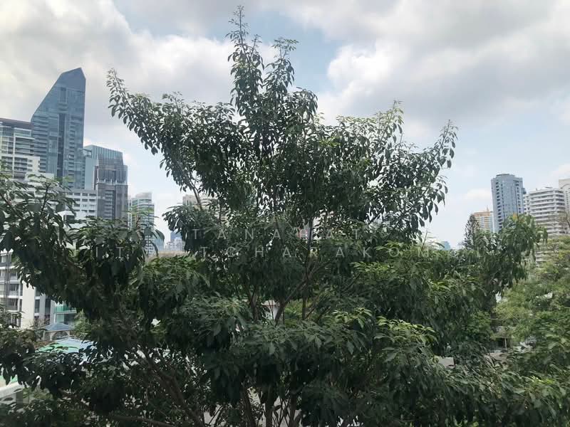 Liv @ 49, Bangkok, 9 Sukhumvit 49 Rd, Khlong Tan Nua, Watthana, Bangkok, 1 Bedroom, 45 sqm, Condo For Rent, by Tanapat Jitwatcharakomol, 500504475 - DDproperty.com