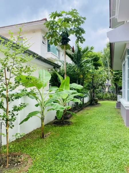 undefined, กรุงเทพ, บางจาก, ภาษีเจริญ, กรุงเทพ, 568 ตร.ม., บ้านเดี่ยว ให้เช่า, โดย Ramita Theptham, 500504493 - DDproperty.com