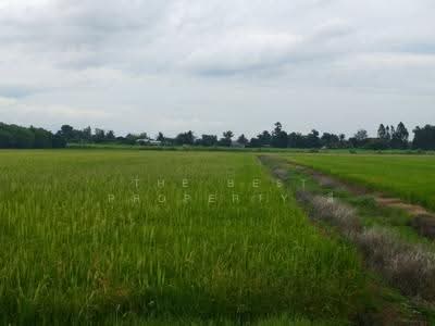 ขาย - ที่ดินสองพี่น้อง สุพรรณบุรี, สุพรรณบุรี
