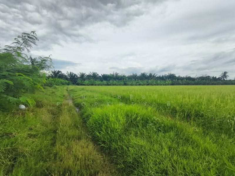 ที่ดินสองพี่น้อง สุพรรณบุรี, สุพรรณบุรี, ทุ่งคอก, สองพี่น้อง, สุพรรณบุรี, 12,782 ตร.ม., ที่ดิน ขาย, โดย The Best Property ลี, 500504518 - DDproperty.com