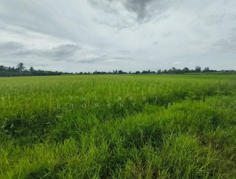 ที่ดินสองพี่น้อง สุพรรณบุรี, สุพรรณบุรี, ทุ่งคอก, สองพี่น้อง, สุพรรณบุรี, 12,782 ตร.ม., ที่ดิน ขาย, โดย The Best Property ลี, 500504518 - DDproperty.com