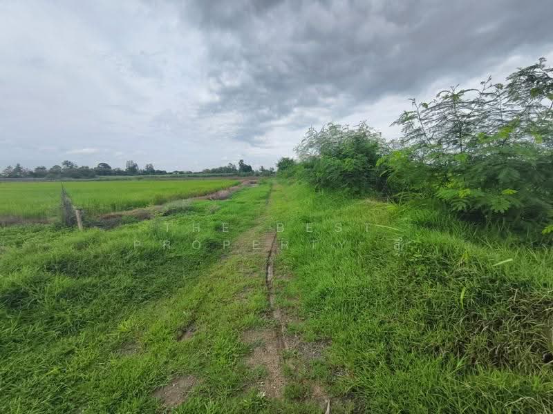 ที่ดินสองพี่น้อง สุพรรณบุรี, Suphan Buri, Thung Khok, Song Phi Nong, Suphan Buri, , 12,782 sqm, Land For Sale, by The Best Property ลี, 500504518 - DDproperty.com