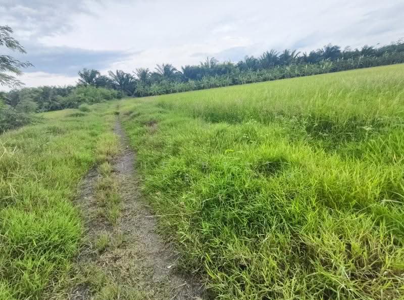 ที่ดินสองพี่น้อง สุพรรณบุรี, สุพรรณบุรี, ทุ่งคอก, สองพี่น้อง, สุพรรณบุรี, 12,782 ตร.ม., ที่ดิน ขาย, โดย The Best Property ลี, 500504518 - DDproperty.com