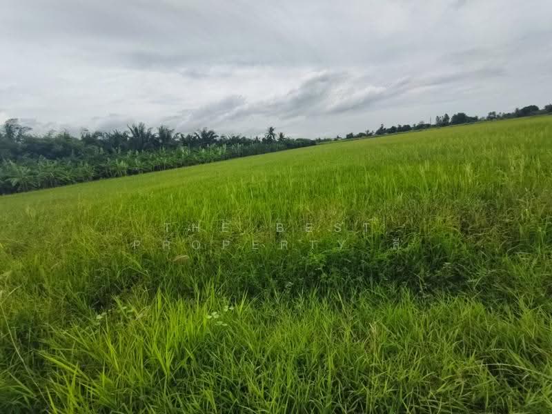ที่ดินสองพี่น้อง สุพรรณบุรี, สุพรรณบุรี, ทุ่งคอก, สองพี่น้อง, สุพรรณบุรี, 12,782 ตร.ม., ที่ดิน ขาย, โดย The Best Property ลี, 500504518 - DDproperty.com