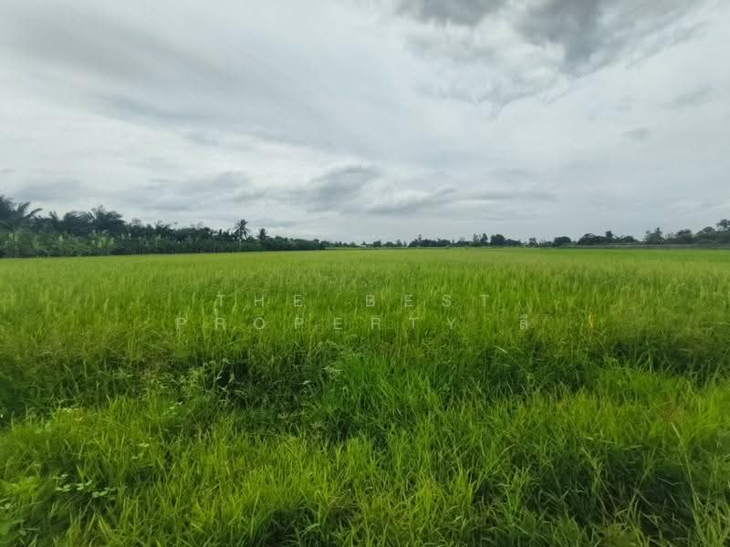 ที่ดินสองพี่น้อง สุพรรณบุรี, สุพรรณบุรี, ทุ่งคอก, สองพี่น้อง, สุพรรณบุรี, 12,782 ตร.ม., ที่ดิน ขาย, โดย The Best Property ลี, 500504518 - DDproperty.com