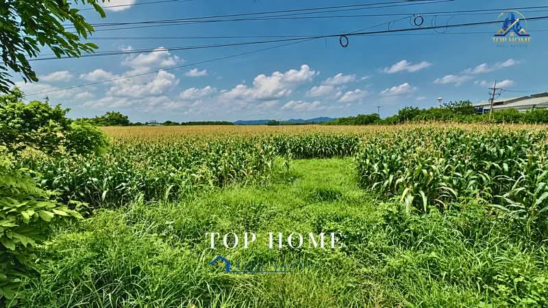ขายด่วน! ที่ดิน 24 ไร่ ติดถนน ทำเลพระพุทธบาท จ.สระบุรี, สระบุรี, พระพุทธบาท, สระบุรี, 38,400 ตร.ม., ที่ดิน ขาย, โดย คุณสุ, 500504533 - DDproperty.com