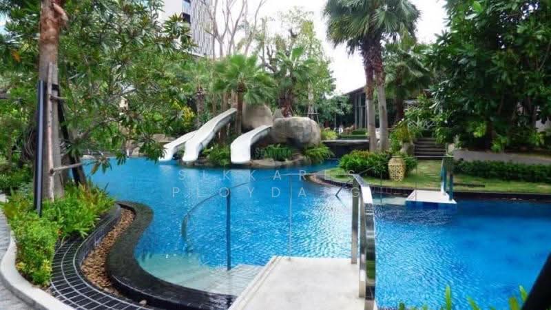 The Riviera Wongamat, Chon Buri (Pattaya), Na Kluea 16 Alley, Na Kloe, Bang Lamung (Pattaya), Chon Buri (Pattaya), 1 Bedroom, 32 sqm, Condo For Sale, by Sikkares Ploydang, 500504556 - DDproperty.com