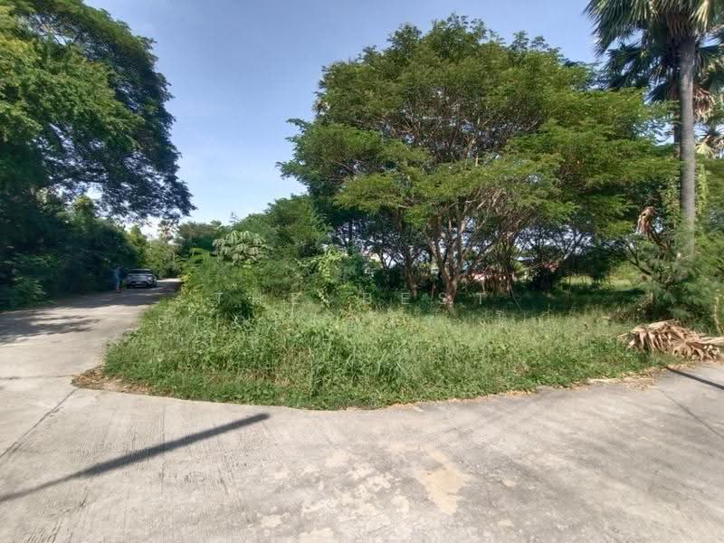 ที่ดินสนามชัย สุพรรณบุรี, Suphan Buri, Sanamchai, Muang Suphanburi, Suphan Buri, , 1,560 sqm, Land For Sale, by The Best Property โบ, 500504568 - DDproperty.com
