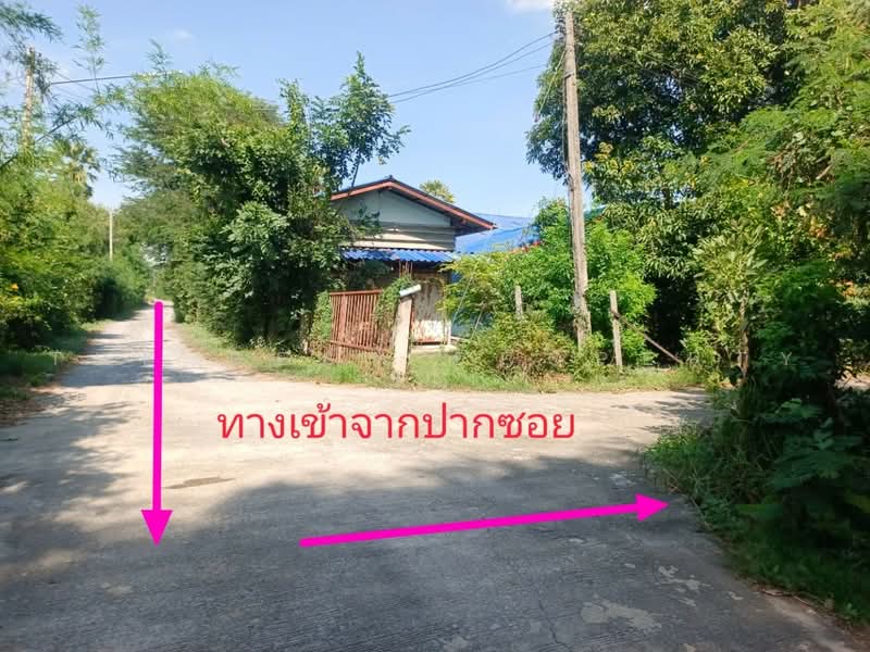 ที่ดินสนามชัย สุพรรณบุรี, Suphan Buri, Sanamchai, Muang Suphanburi, Suphan Buri, , 1,560 sqm, Land For Sale, by The Best Property โบ, 500504568 - DDproperty.com