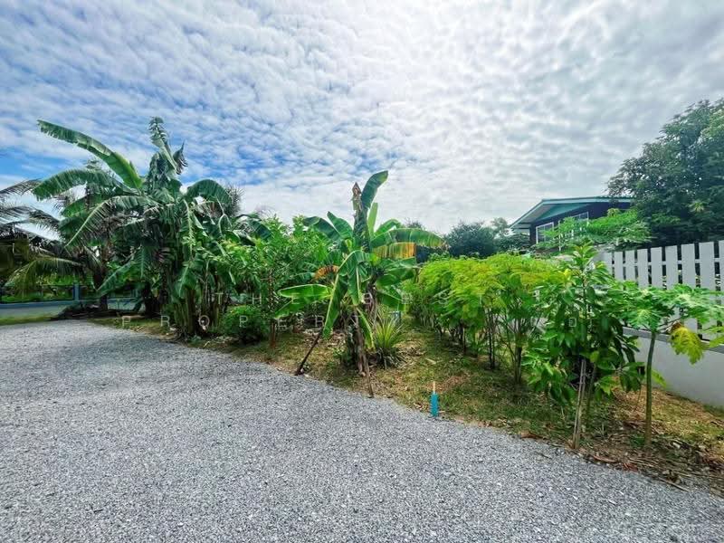 บ้านเดี่ยวพร้อมที่ดินสรรคบุรี ชัยนาท, ชัยนาท, โพงาม, สรรคบุรี, ชัยนาท, 150 ตร.ม., บ้านเดี่ยว ขาย, โดย The Best Property แอ้, 500504607 - DDproperty.com