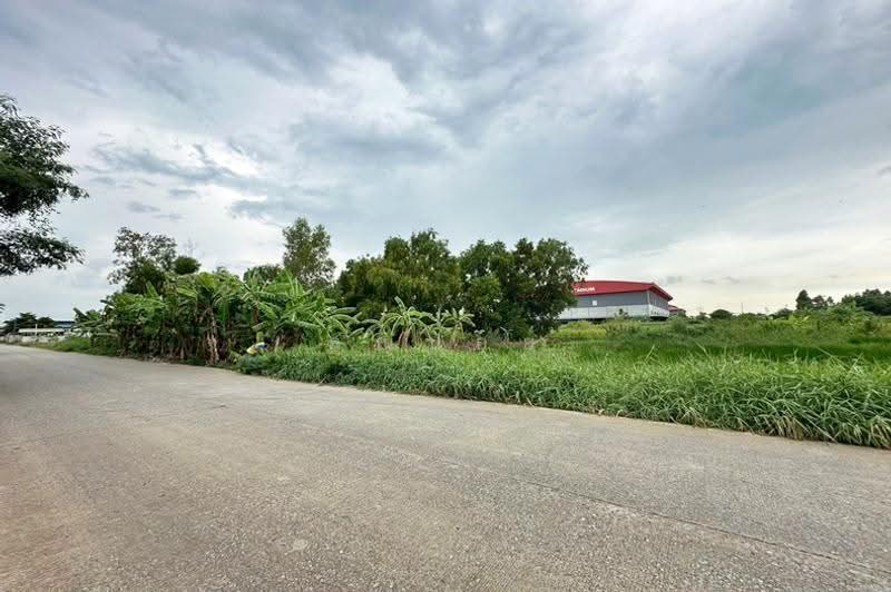 ซอยชมเงิน, ปทุมธานี, ถนนกาญจนาภิเษก, คลองสี่, คลองหลวง, ปทุมธานี, 1,600 ตร.ม., ที่ดิน ขาย, โดย คุณปอย, 500504629 - DDproperty.com