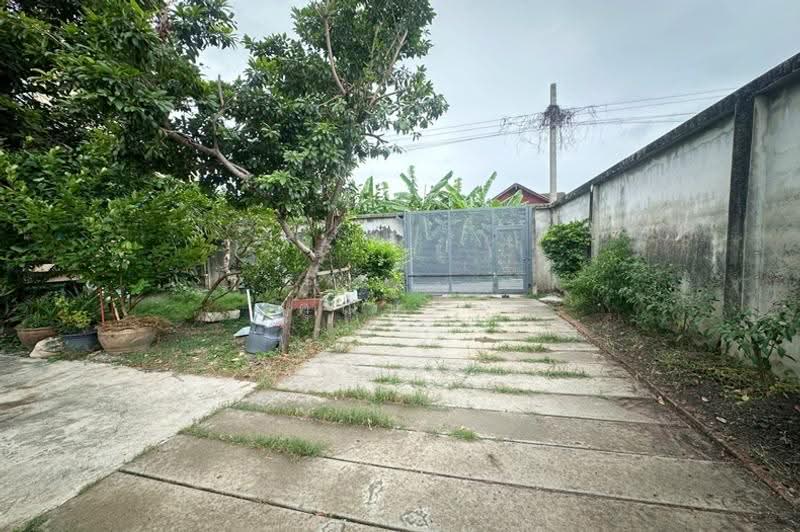 ขายบ้านเดี่ยว 3 ชั้น สุขุมวิท 101 ปุณณวิถี 51 เนื้อที่ 117 ตร.ว. เหมาะอยู่อาศัย-ทำโฮมออฟฟิศ ใกล้ BTS, Bangkok, ถนนสุขุมวิท 101, Bang Chak, Phra Khanong, Bangkok, 7 Bedrooms, 560 sqm, Single Detached House For Sale, by คุณนา, 500504638 - DDproperty.com