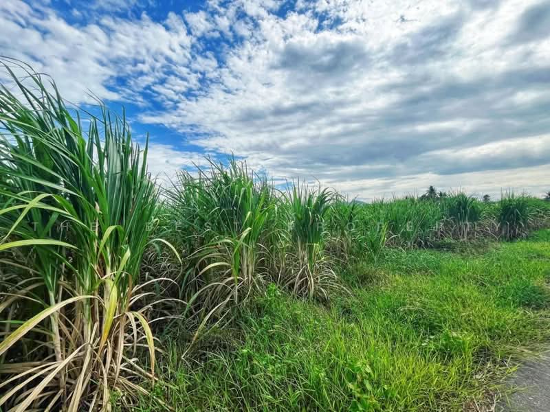 ที่ดินบ้านไร่ อุทัยธานี, Uthai Thani, Muang Karung, Ban Rai, Uthai Thani, , 74,196 sqm, Land For Sale, by The Best Property แอ้, 500504662 - DDproperty.com