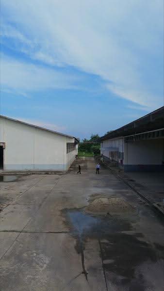 Industrial Land with Buildings | 17 Rai | 7,200 Sq.m. | Suphan Buri, Suphan Buri, Thung Khok, Song Phi Nong, Suphan Buri, , 28,192 sqm, Land For Rent, by ชัยณรงค์ ลิ้มอารีย์สุข, 500504675 - DDproperty.com