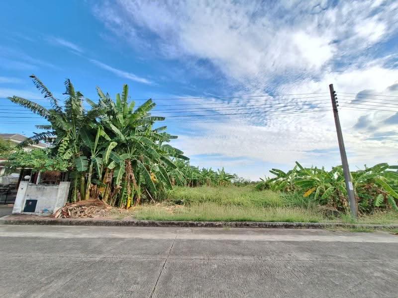 ชัยพฤกษ์1 คุ้มเกล้า-ลาดกระบัง (Chaiyaphruek1 Khumklao-Lat Krabang), Bangkok, Lam Pla Tiew, Lat Krabang, Bangkok, , 280 sqm, Land For Sale, by The Best Property ติ๊ก, 500504683 - DDproperty.com