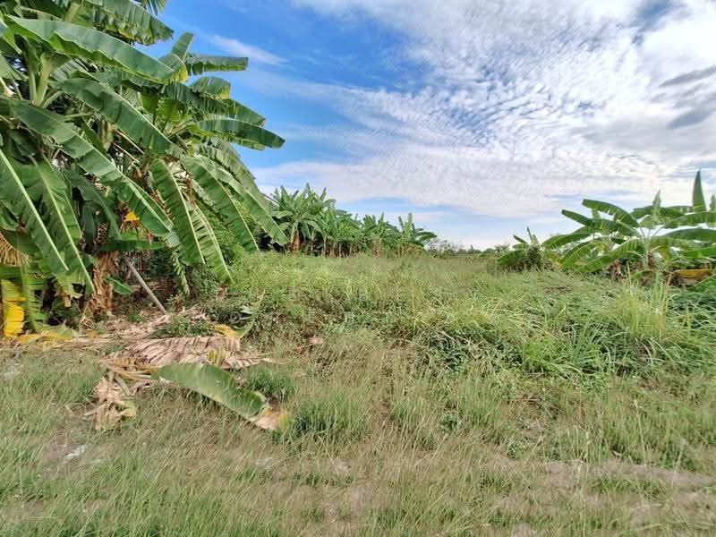 ชัยพฤกษ์1 คุ้มเกล้า-ลาดกระบัง (Chaiyaphruek1 Khumklao-Lat Krabang), Bangkok, Lam Pla Tiew, Lat Krabang, Bangkok, , 280 sqm, Land For Sale, by The Best Property ติ๊ก, 500504683 - DDproperty.com