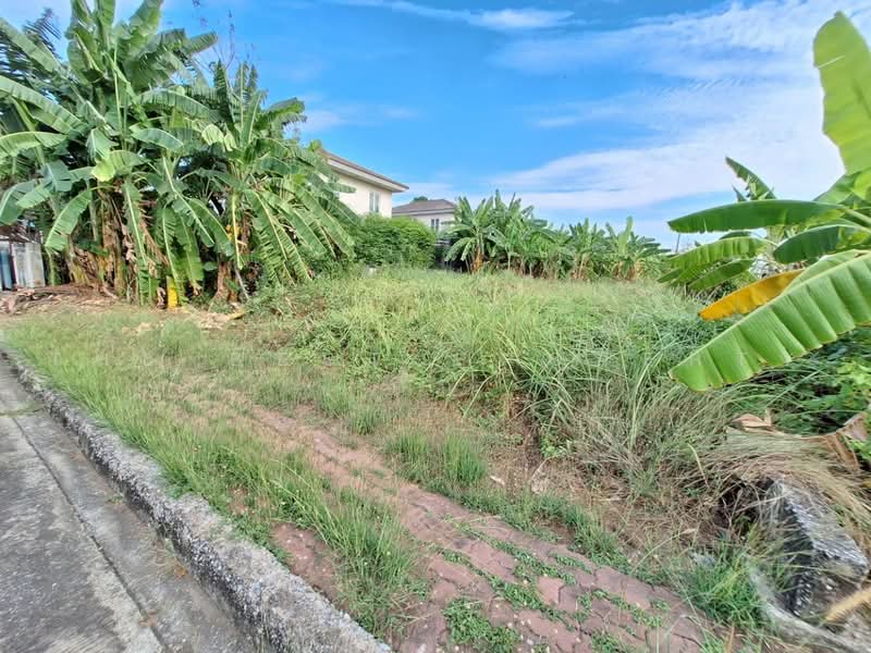 ชัยพฤกษ์1 คุ้มเกล้า-ลาดกระบัง (Chaiyaphruek1 Khumklao-Lat Krabang), Bangkok, Lam Pla Tiew, Lat Krabang, Bangkok, , 280 sqm, Land For Sale, by The Best Property ติ๊ก, 500504683 - DDproperty.com
