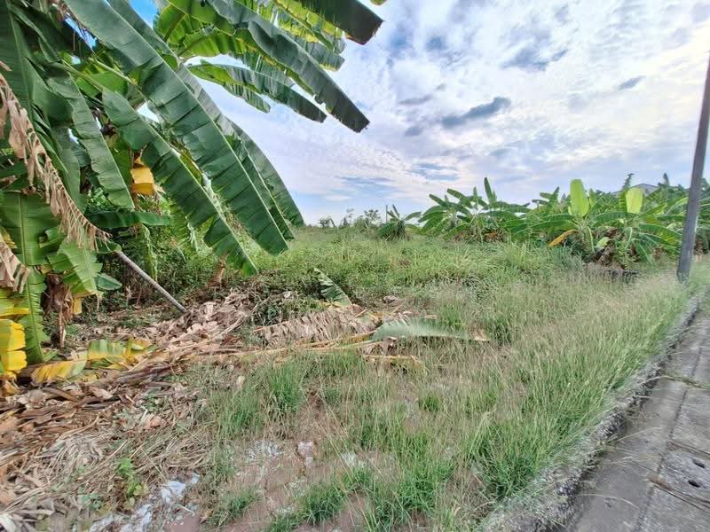 ชัยพฤกษ์1 คุ้มเกล้า-ลาดกระบัง (Chaiyaphruek1 Khumklao-Lat Krabang), Bangkok, Lam Pla Tiew, Lat Krabang, Bangkok, , 280 sqm, Land For Sale, by The Best Property ติ๊ก, 500504683 - DDproperty.com