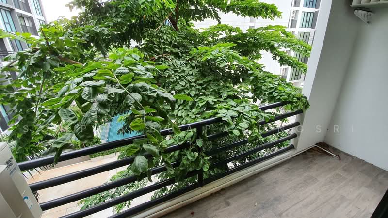 Fare Tower, Bangkok, Soi Sukhumvit 50, Phra Kanong, Khlong Toei, Bangkok, 2 Bedrooms, 81 sqm, Condo For Rent, by Sompob Buaparungsri, 500504701 - DDproperty.com