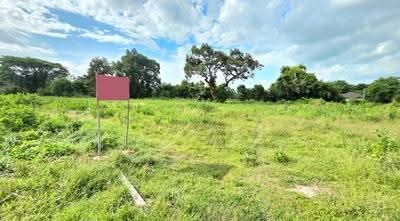 ขาย - ที่ดินรอบเมือง ร้อยเอ็ด, ร้อยเอ็ด