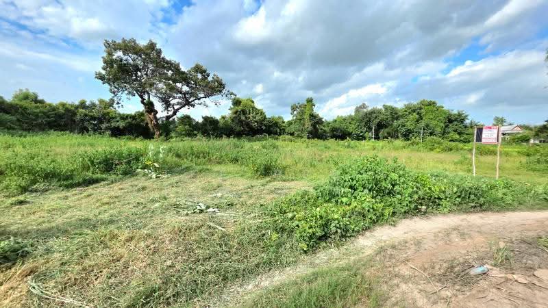 ที่ดินรอบเมือง ร้อยเอ็ด, Roi Et, Rop Muang, Muang Roi Et, Roi Et, , 531 sqm, Land For Sale, by The Best Property ทองใบ, 500504785 - DDproperty.com