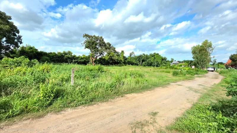 ที่ดินรอบเมือง ร้อยเอ็ด, ร้อยเอ็ด, รอบเมือง, เมืองร้อยเอ็ด, ร้อยเอ็ด, 531 ตร.ม., ที่ดิน ขาย, โดย The Best Property ทองใบ, 500504785 - DDproperty.com
