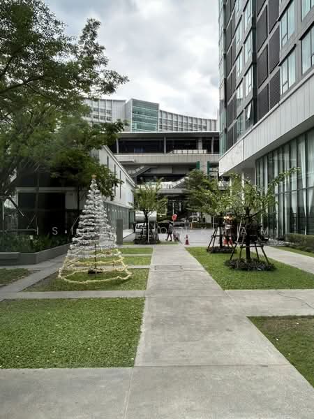 CIELA Sripatum, Bangkok, 2999 Phahonyothin Road, Lat Yao, Chatuchak, Bangkok, 1 Bedroom, 32 sqm, Condo For Rent, by Isika Tonkham, 500504819 - DDproperty.com