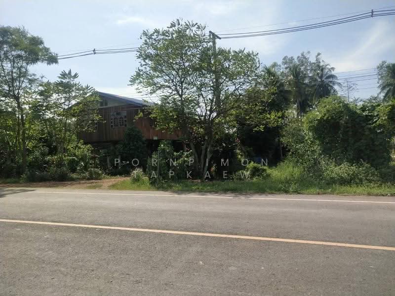 ที่ดิน เมืองเพชรบูรณ์ เพชรบูรณ์, Phetchabun, Dong Mun Lek, Muang Phetchabun, Phetchabun, , 1,464 sqm, Land For Sale, by Pornpimon Tapkaew, 500504869 - DDproperty.com