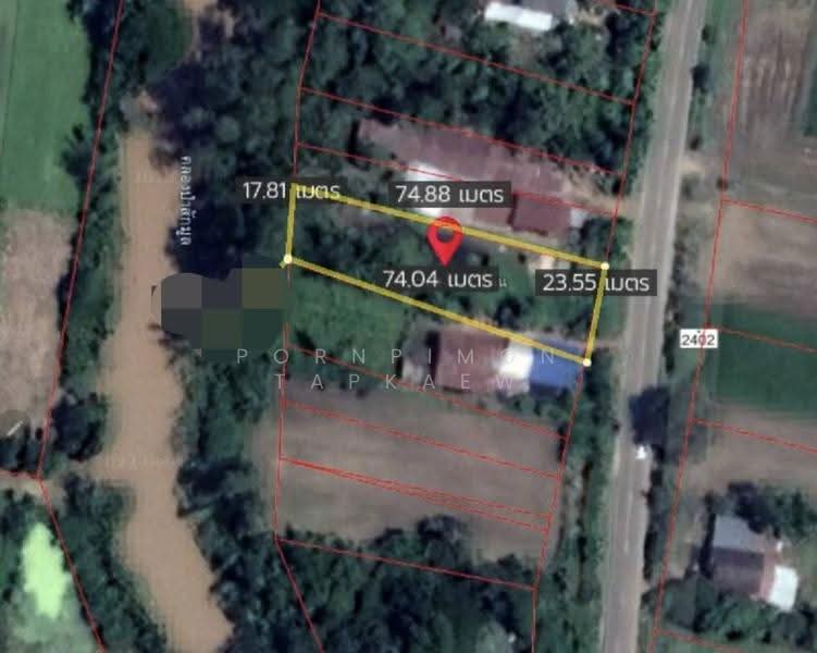 ที่ดิน เมืองเพชรบูรณ์ เพชรบูรณ์, Phetchabun, Dong Mun Lek, Muang Phetchabun, Phetchabun, , 1,464 sqm, Land For Sale, by Pornpimon Tapkaew, 500504869 - DDproperty.com