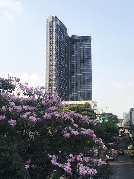 The Line Jatujak-Mochit, Bangkok, Phaholyothin Road, Jom Phon, Chatuchak, Bangkok, 1 Bedroom, 47 sqm, Condo For Rent, by Isika Tonkham, 500504907 - DDproperty.com