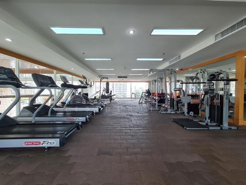 Grand 39 Tower : แกรนด์ 39 ทาวเวอร์, กรุงเทพ, ซอยสุขุมวิท 39, คลองตันเหนือ, วัฒนา, กรุงเทพ, 230 ตร.ม., อพาร์ทเมนท์ ให้เช่า, โดย Bangkok Residential, 500504923 - DDproperty.com
