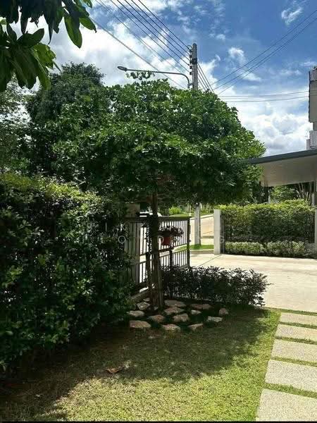 Anasiri Paklok, Phuket, Tha Ruea-Muang Mai Road, Pa Khlok, Thalang, Phuket, 4 Bedrooms, 173 sqm, Single Detached House For Sale, by Sikkares Ploydang, 500504965 - DDproperty.com