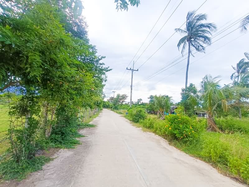ที่ดินแปลงใหญ่ 14 ไร่ 24 ตรว ใกล้สถานีรถไฟห้วยยาง ทับสะแก, ประจวบคีรีขันธ์, ห้วยยาง, ทับสะแก, ประจวบคีรีขันธ์, 22,496 ตร.ม., ที่ดิน ขาย, โดย HOMEPLUS REALTY - คุณเนม, 500505060 - DDproperty.com