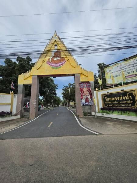 ขายบ้านเดี่ยวโคราช สุรนารี 91 ตร.ว. ใกล้ตลาดเซฟวัน 2.6 ล้าน, นครราชสีมา, ในเมือง, เมืองนครราชสีมา, นครราชสีมา, 108 ตร.ม., บ้านเดี่ยว ขาย, โดย คุณนก, 500505240 - DDproperty.com