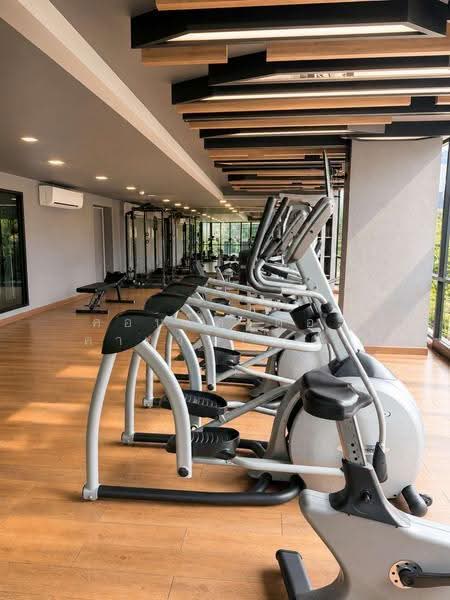 The Cabana Condo : เดอะ คาบาน่า คอนโด, สมุทรปราการ, 99 ถ. ทางรถไฟสายเก่าปากน้ำ, สำโรง, พระประแดง, สมุทรปราการ, 34 ตร.ม., คอนโด ขาย, โดย คุณกร, 500505268 - DDproperty.com