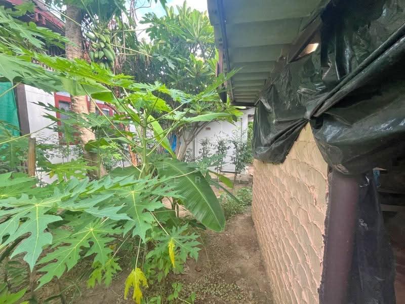 บ้านเดี่ยวพร้อมที่ดินหนองหญ้าไซ สุพรรณบุรี, Suphan Buri, Nong Pho, Nong Ya Sai, Suphan Buri, 3 Bedrooms, 100 sqm, Single Detached House For Sale, by The Best Property แอ้, 500505328 - DDproperty.com