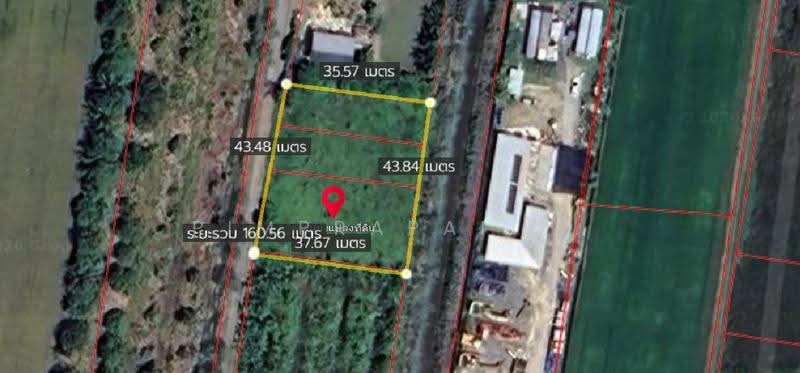 ที่ดินหนองจอก, Bangkok, เลียบคลอง13, Khlong Sibsong, Nong Chok, Bangkok, , 1,600 sqm, Land For Sale, by Pimprapai P., 500505355 - DDproperty.com