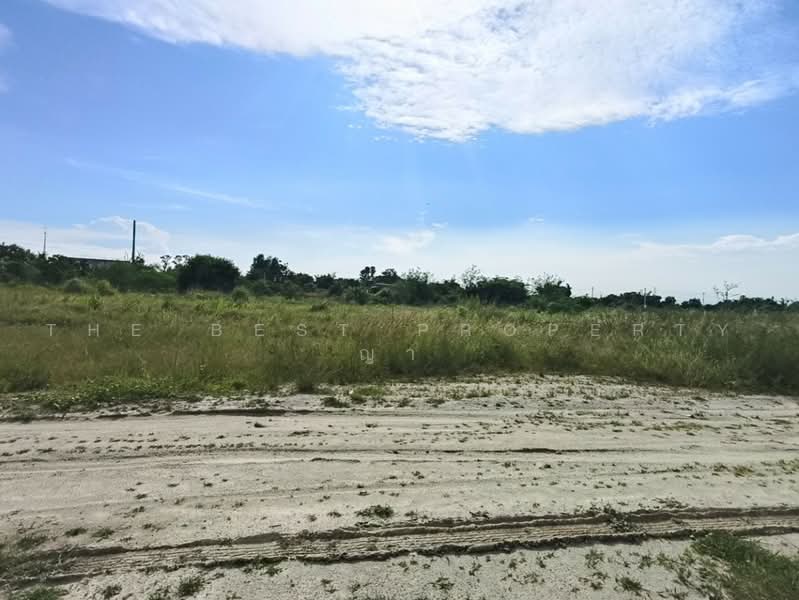 ที่ดินหนองซ้ำซาก ชลบุรี, Chon Buri (Pattaya), Nong Samsak, Ban Bung, Chon Buri (Pattaya), , 1,604 sqm, Land For Sale, by The Best Property ญา, 500505390 - DDproperty.com