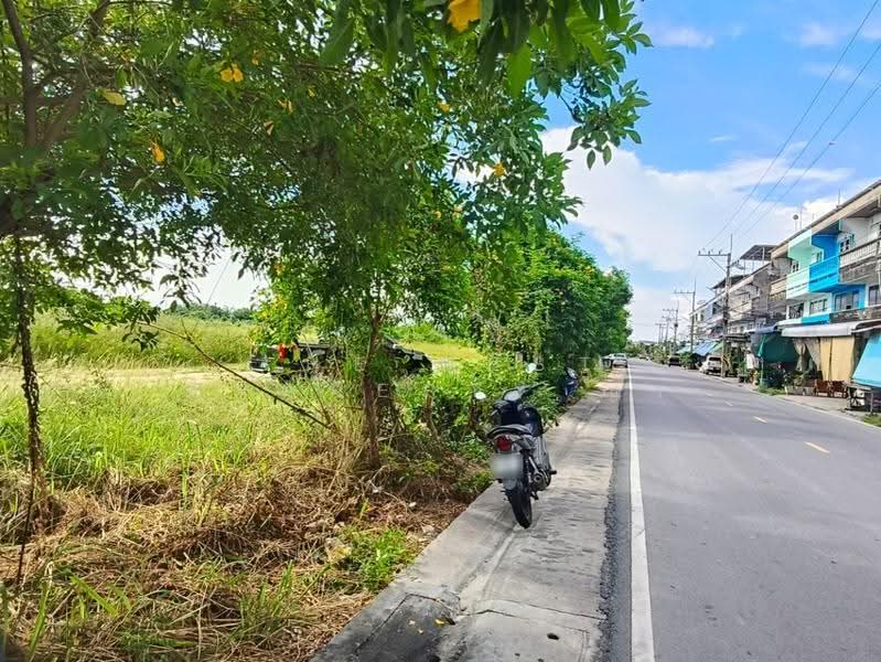 ที่ดินหนองซ้ำซาก ชลบุรี, ชลบุรี, หนองซ้ำซาก, บ้านบึง, ชลบุรี, 1,604 ตร.ม., ที่ดิน ขาย, โดย The Best Property ญา, 500505390 - DDproperty.com